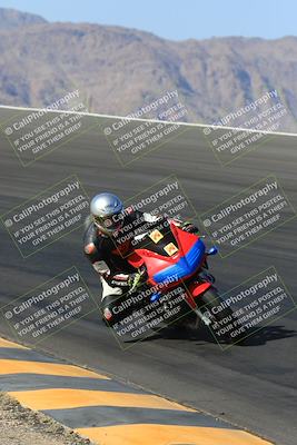 media/May-13-2023-SoCal Trackdays (Sat) [[8a473a8fd1]]/Bowl (840am)/